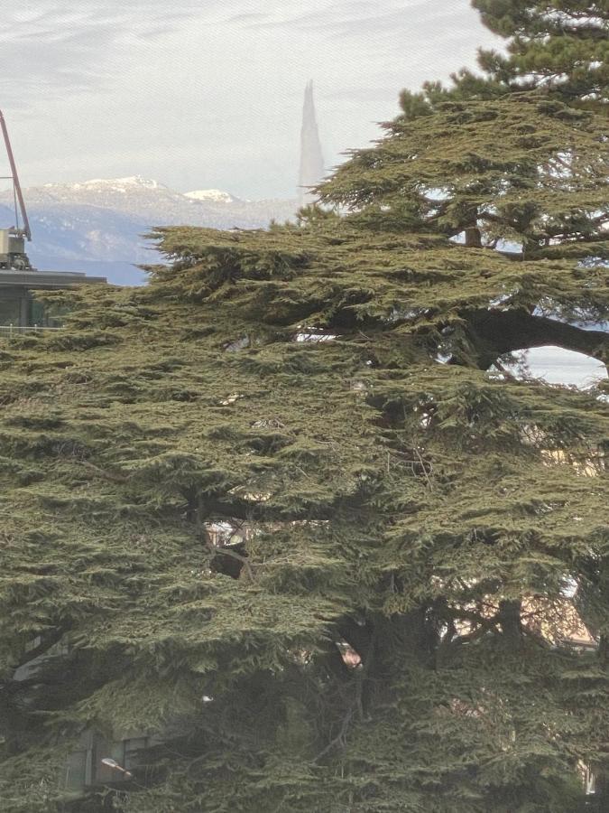 Geneve, Plein Centre,Belle Vue Lac, Splendide Et Grand Appartement Exterior foto